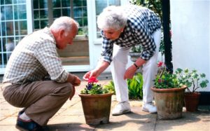 Best-Outdoor-Hobbies-for-Old-Age-People-3